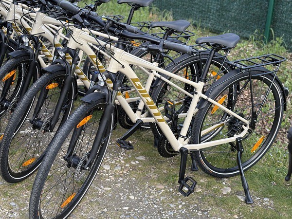 Image de plusieurs vélo VTC dans la nature 